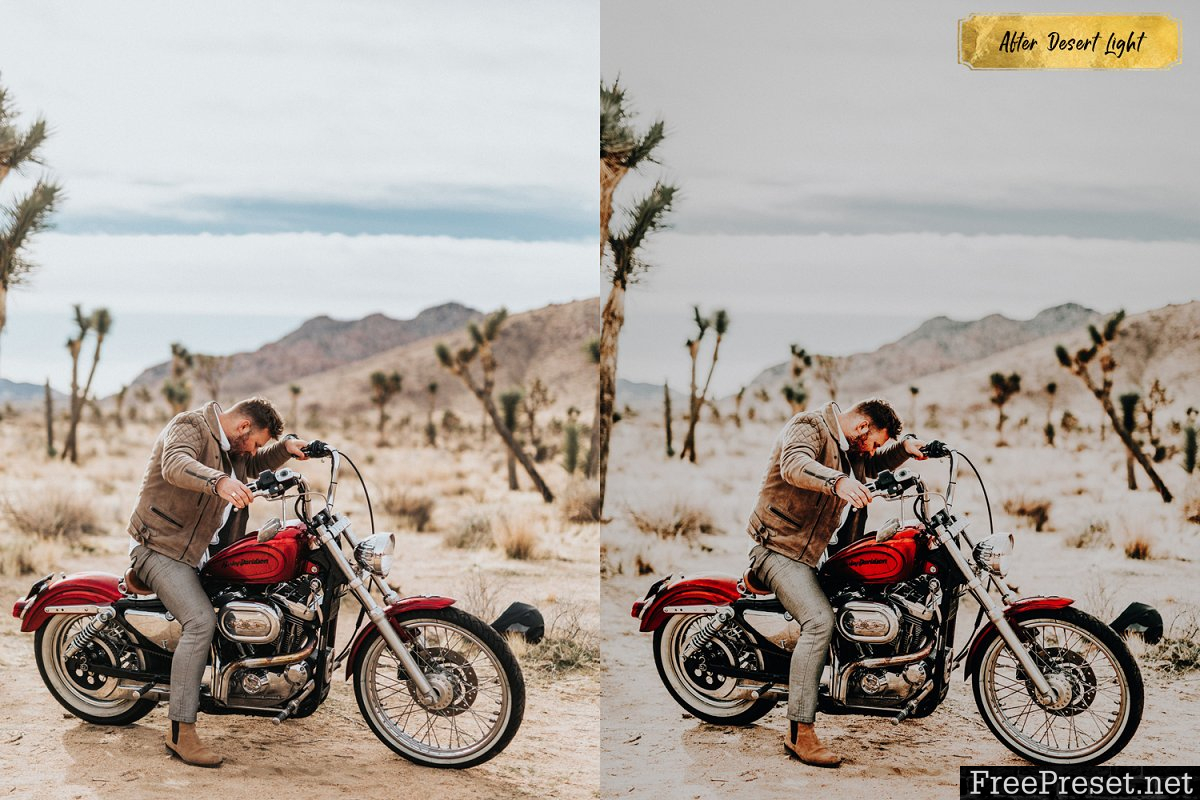 Desert Light LR Preset Pack 2379930