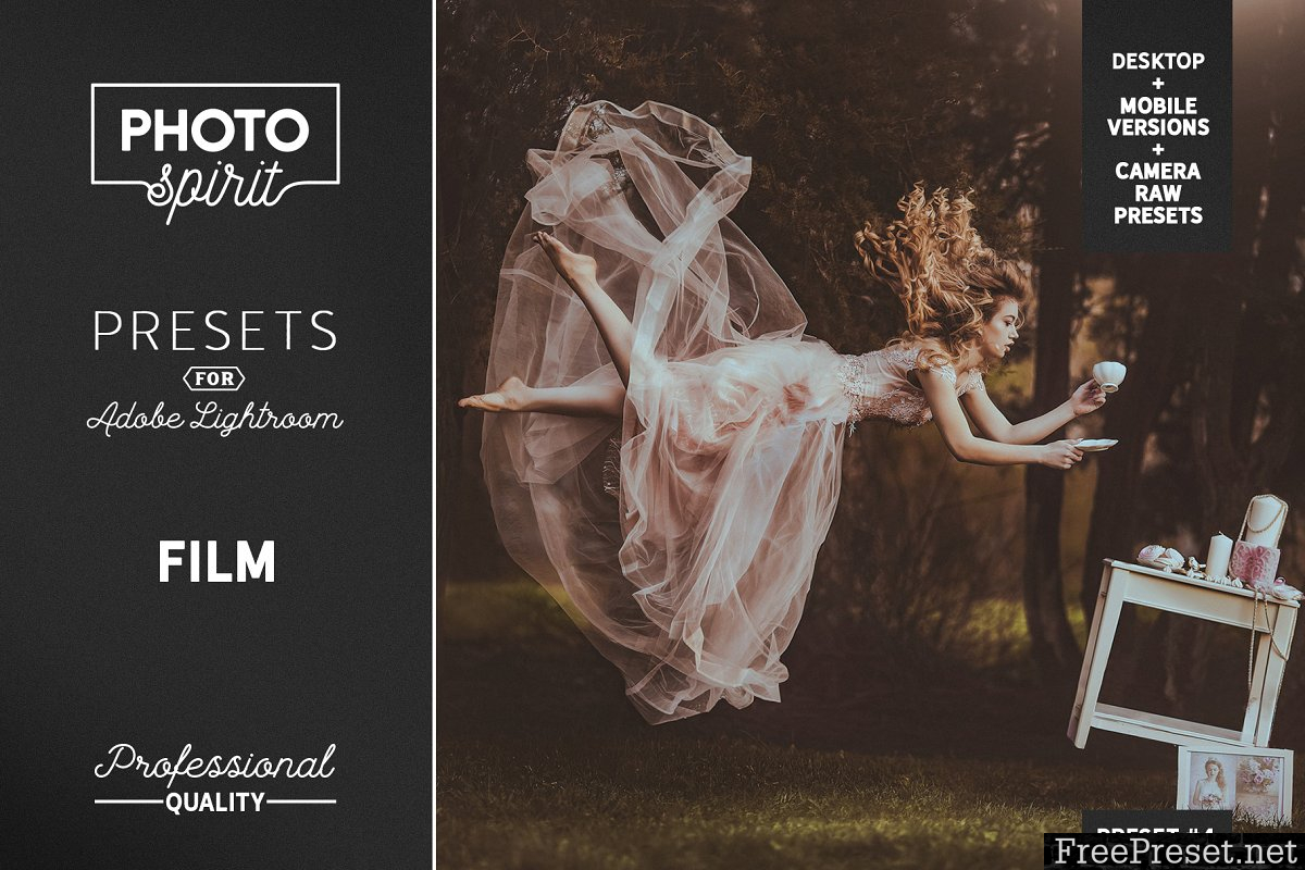 Film LR Presets Mobile + Desktop 3706296