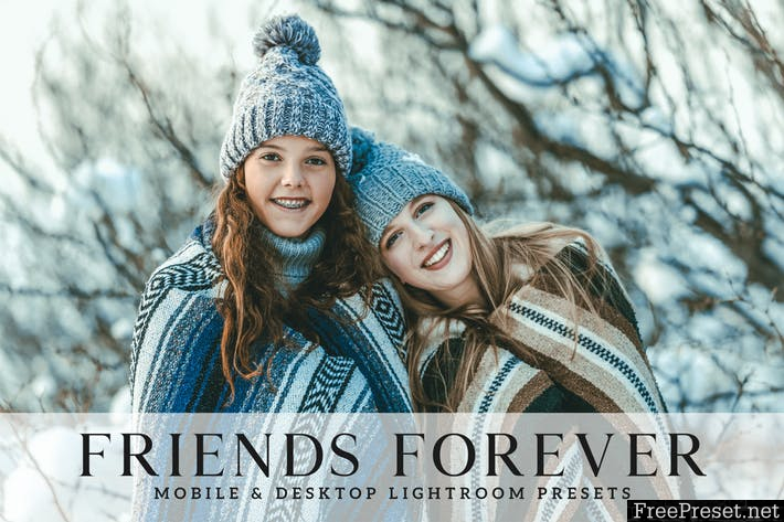 Friends Forever Mobile & Desktop Lightroom Presets