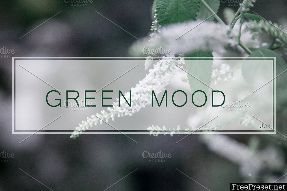 GREENMOOD Inspired Lightroom Preset 3482078