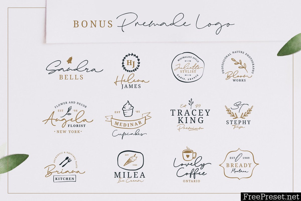 Hanks (+Feminine Logo Pack) 3344584