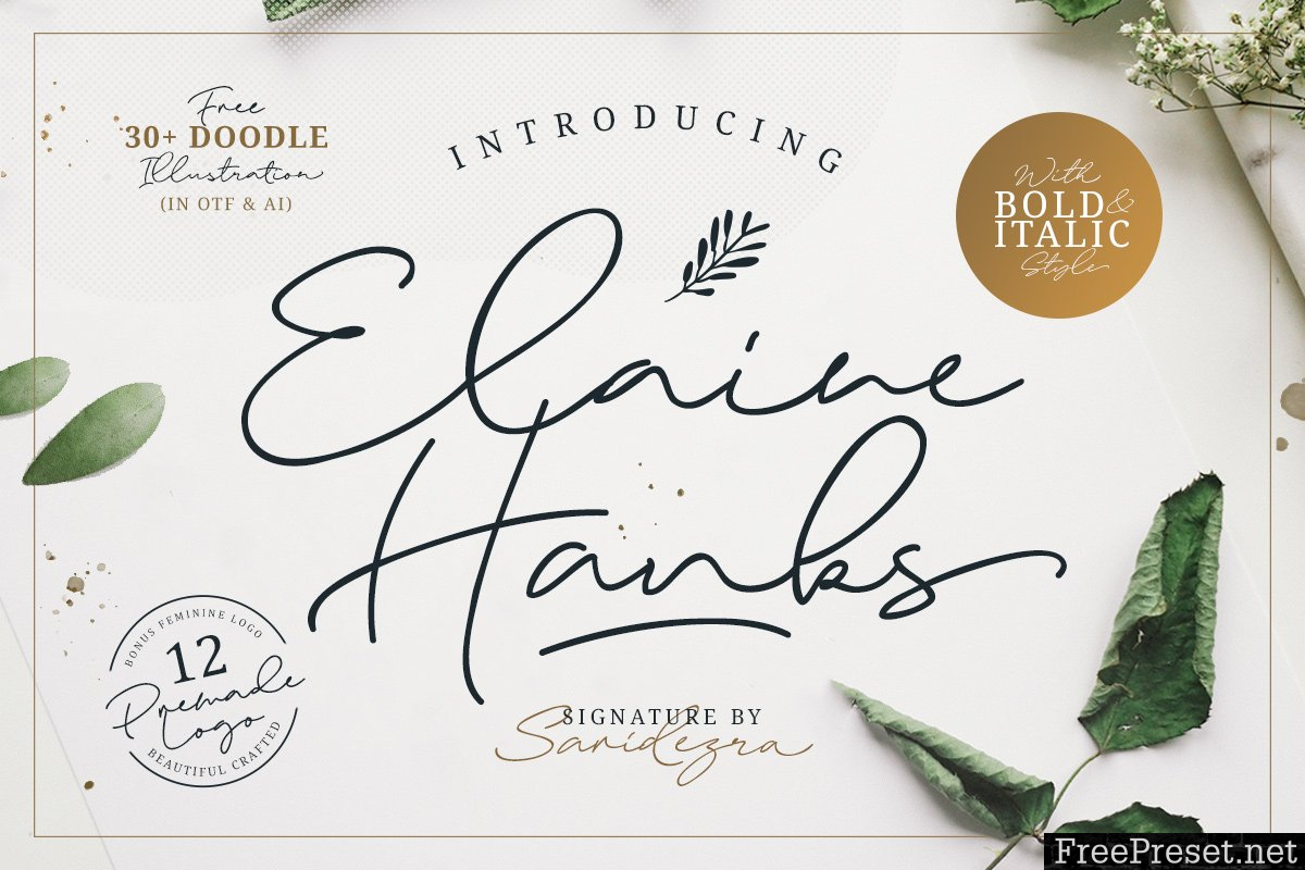 Hanks (+Feminine Logo Pack) 3344584