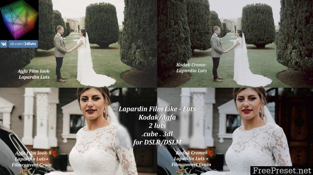 LAPARDIN WEDLUTS - Romantic Wedding LUTs for AE, PS, Premire, Resolve and FCP X and etc... (Win/Mac)