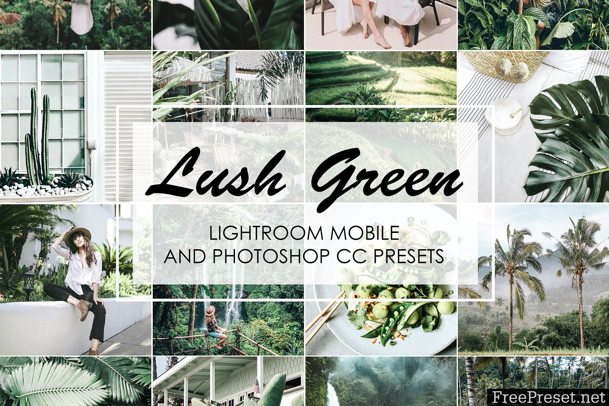 LUSH GREEN Lightroom Presets 3699522