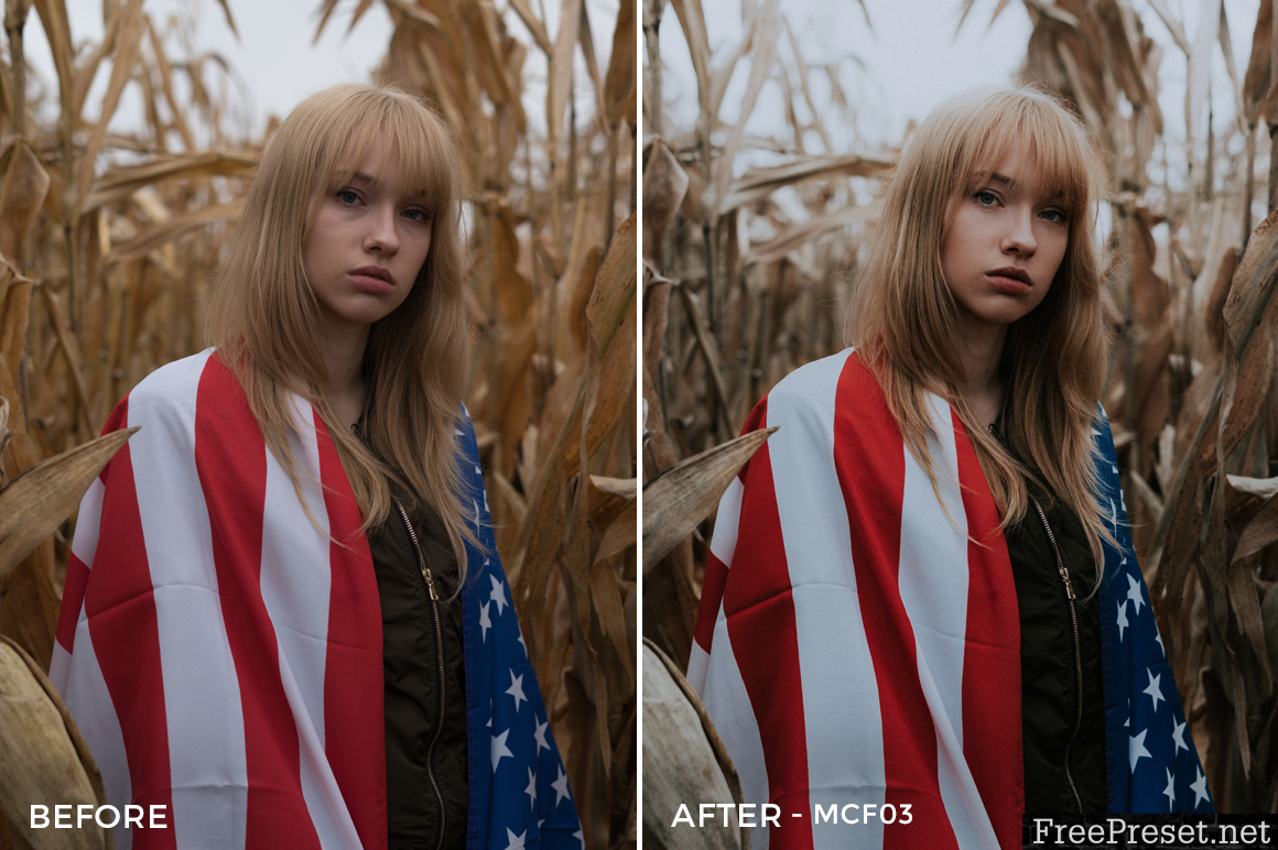 Max Creative Films Lightroom Presets