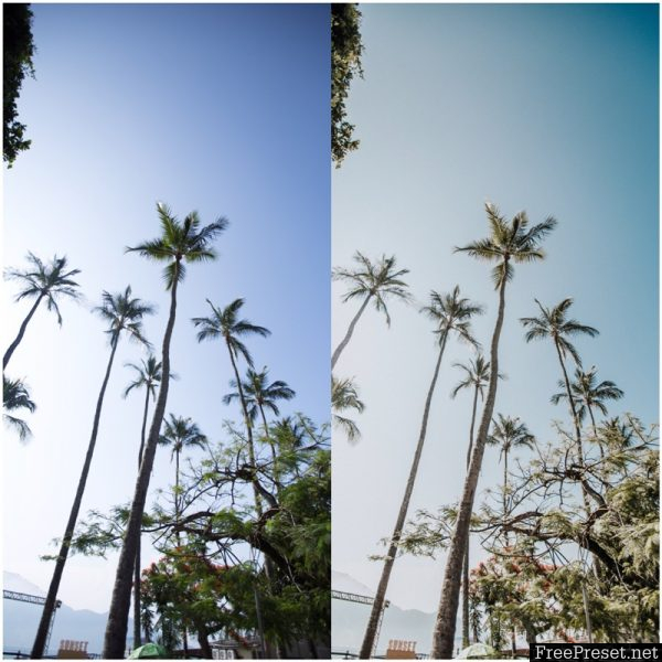 Mf Pack Ilhabela Lightroom Presets