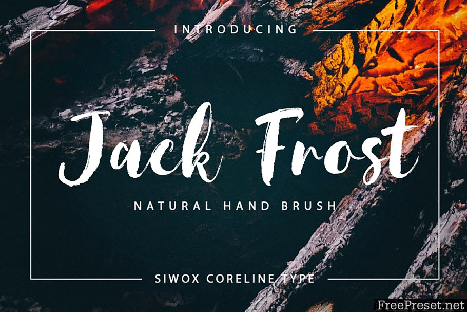 New! Natural Font Bundles 3750908