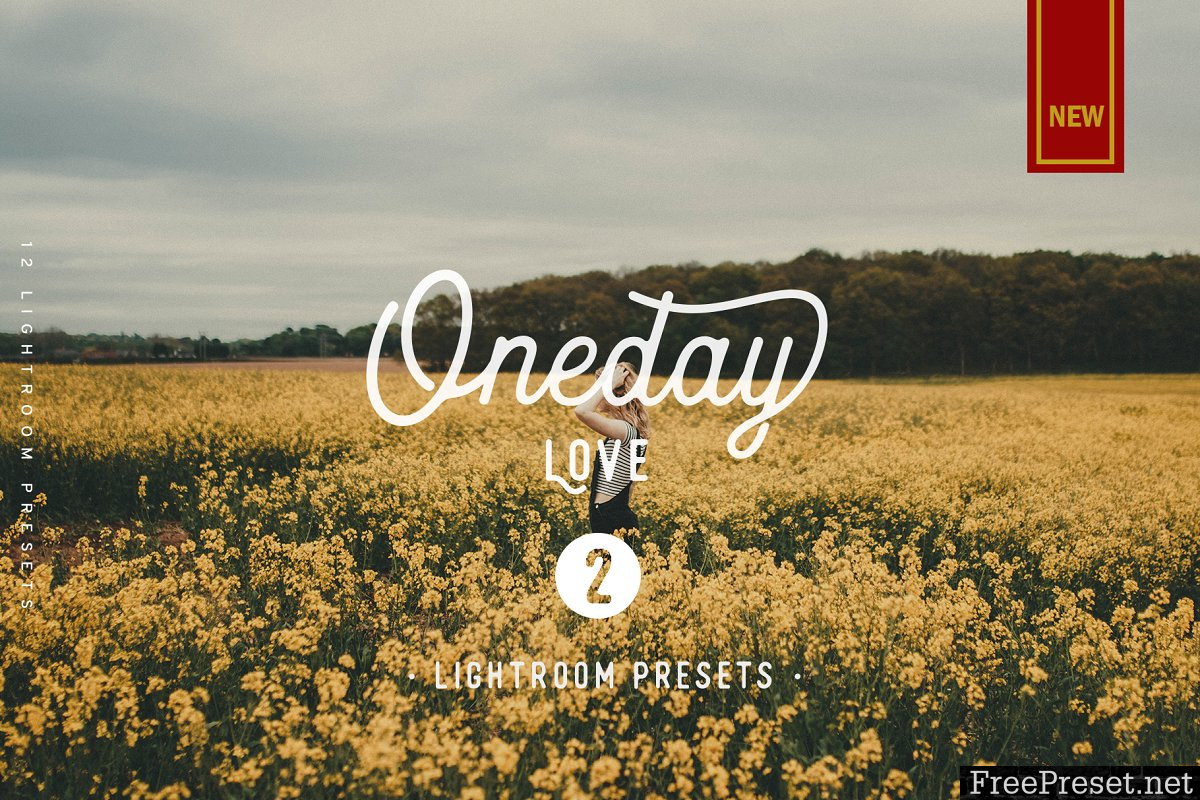 Oneday: Love Vol.2 Lightroom Preset 2269471