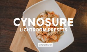 THE FOODIE – Cynosure Lightroom Presets