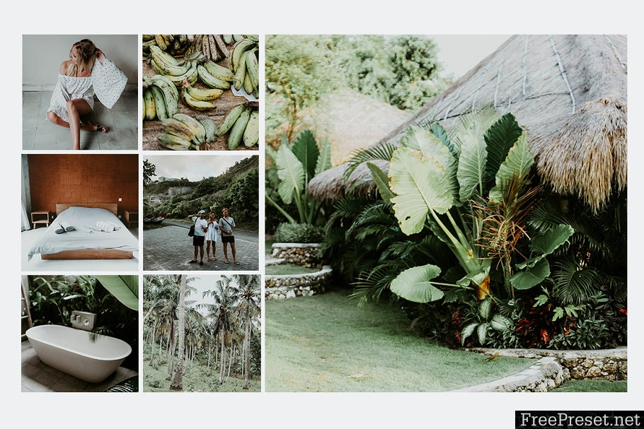 TRAVEL BLOGGER FADED GREENS PRESETS 2442882