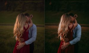 Tricia Victoria - Custom Presets for Lightroom - The Crush Pack