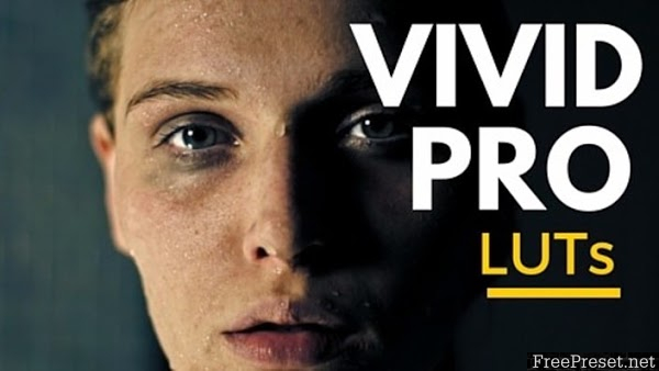 VIVID LUTs Pro (Win/Mac) Complete