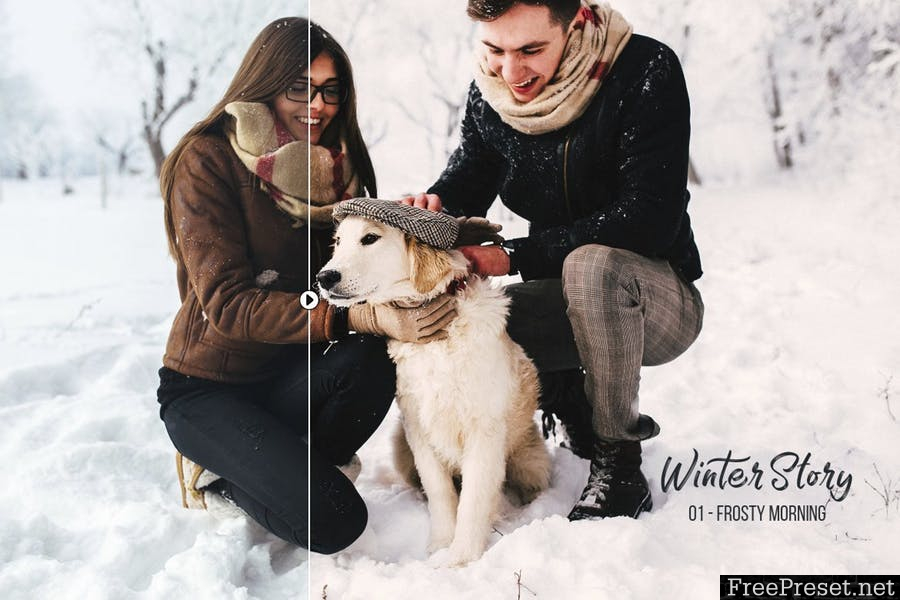 Winter Story Presets for Desktop and Mobile C3TZCY