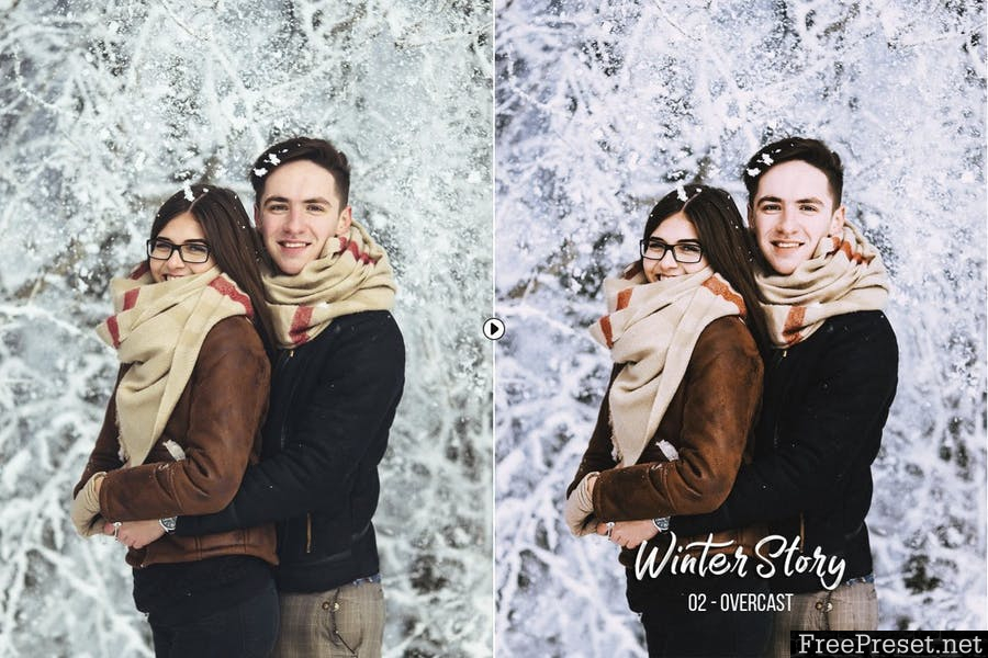 Winter Story Presets for Desktop and Mobile C3TZCY