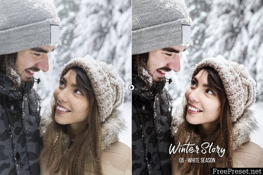 Winter Story Presets for Desktop and Mobile C3TZCY