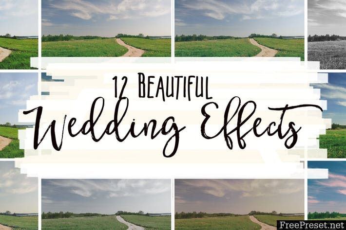 12 Beautiful Wedding Effects  NBSVGT