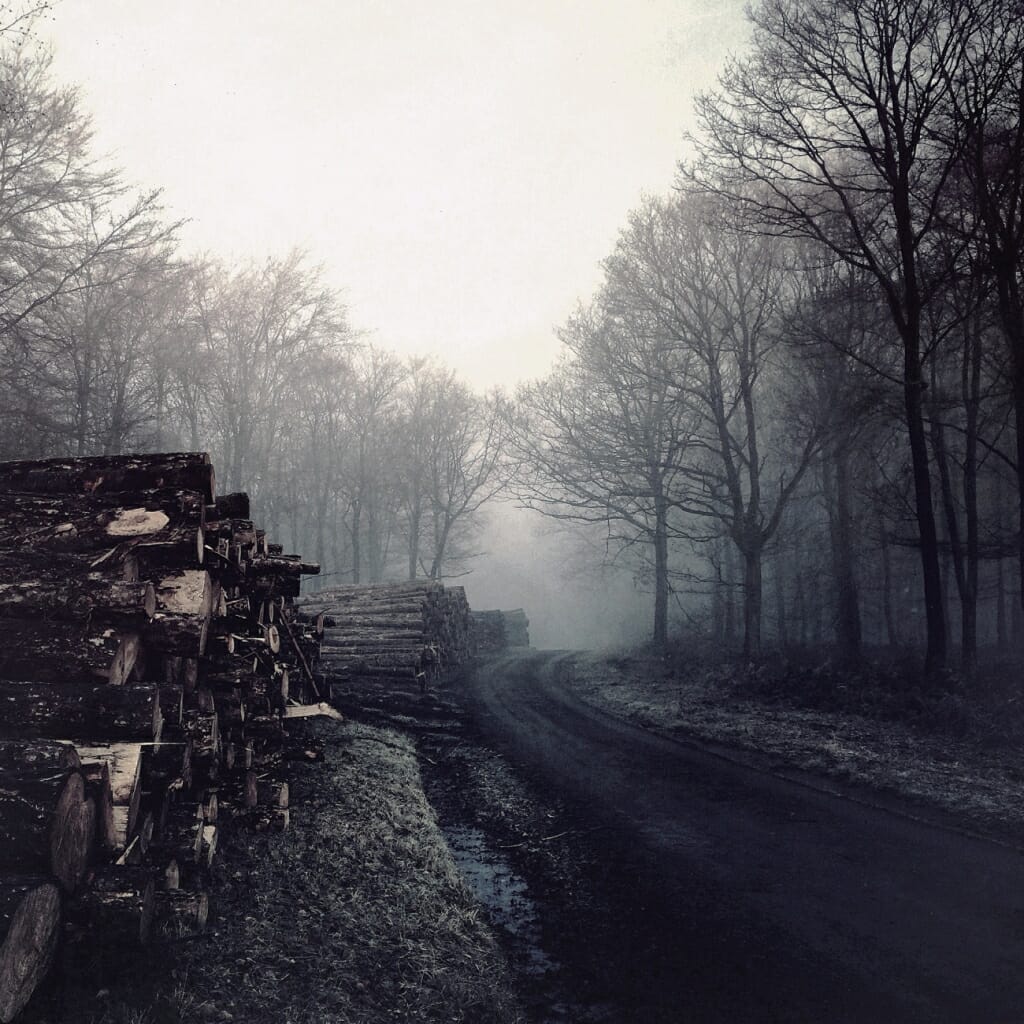 A photo of a moody, misty woodland road, taken on an iPhone