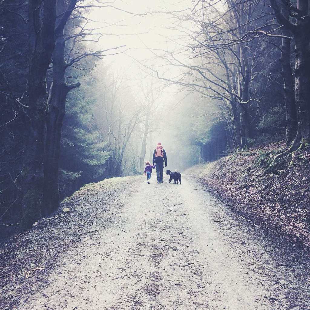 A photo of a woodland road with a man, child and dog walking away