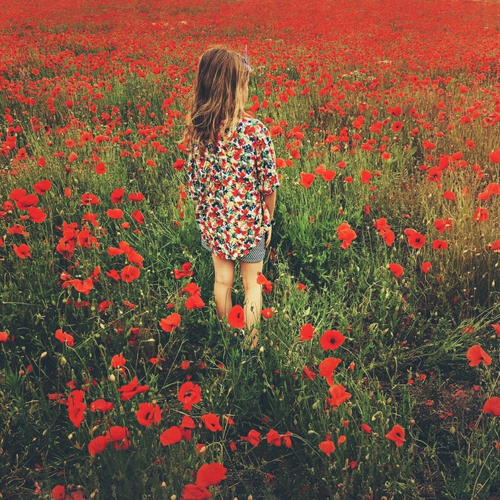 iPhone photo of a young girl stood in a poppy field