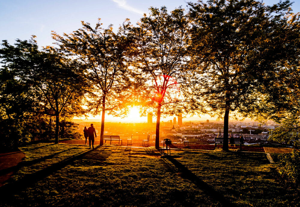 Sunrise in a park in Lyon, France, during the golden hour