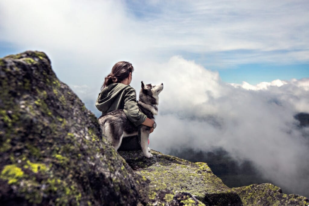 A dog and its owner sits on a cliff top, surrounded by cloud