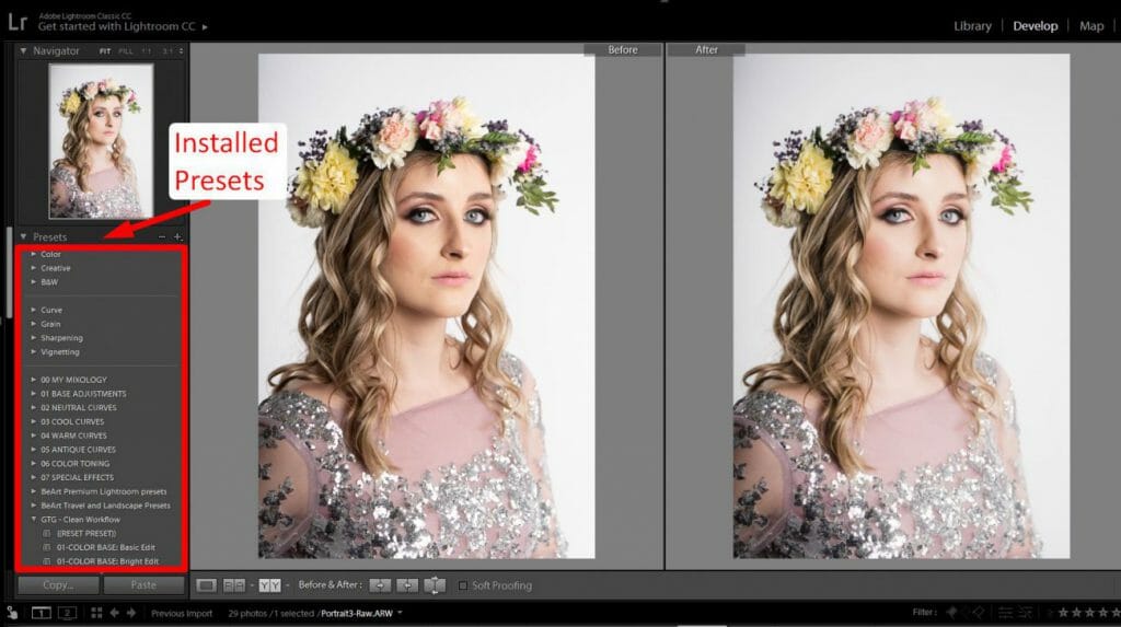 A screenshot showing the installed presets in Lightroom's Develop module.