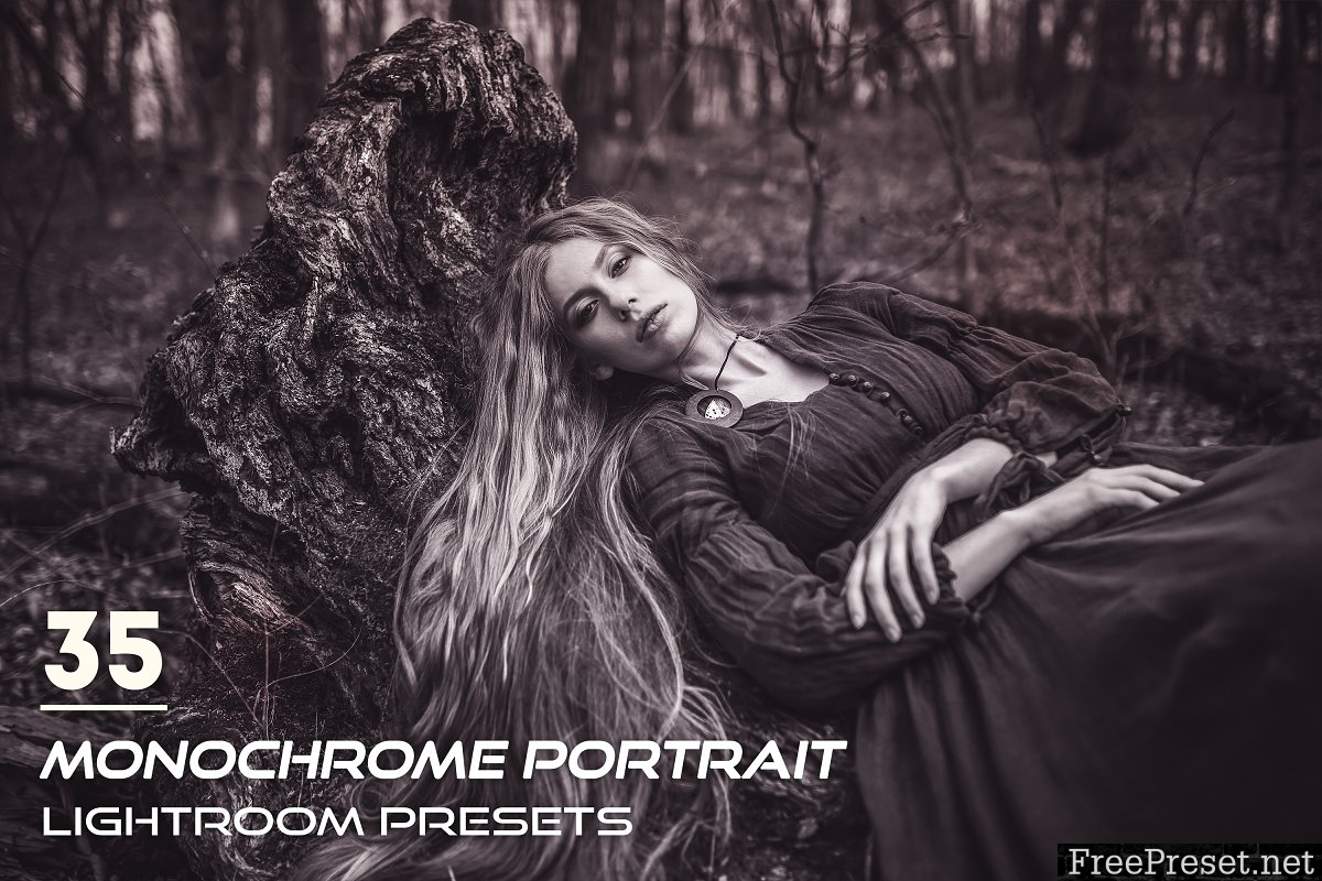 35 Monochrome Portrait Lightroom Presets 3844398