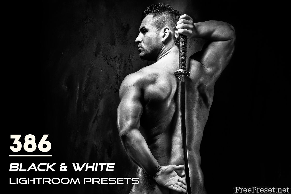 386 Black & White Lightroom Presets 3817477