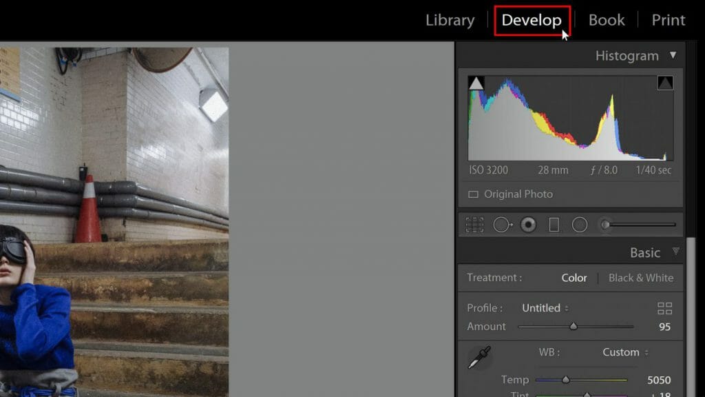 A screenshot with Lightroom Develop module highlighted