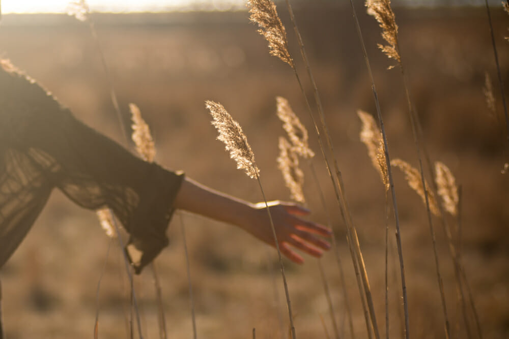 A woman brushes through tall grass in a field at sunset