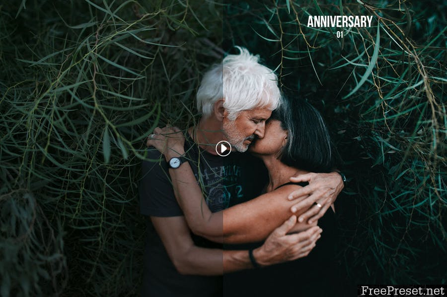 Anniversary Lightroom Presets - Volume I