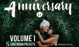 Anniversary Lightroom Presets - Volume I