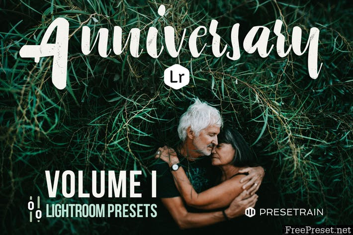 Anniversary Lightroom Presets - Volume I