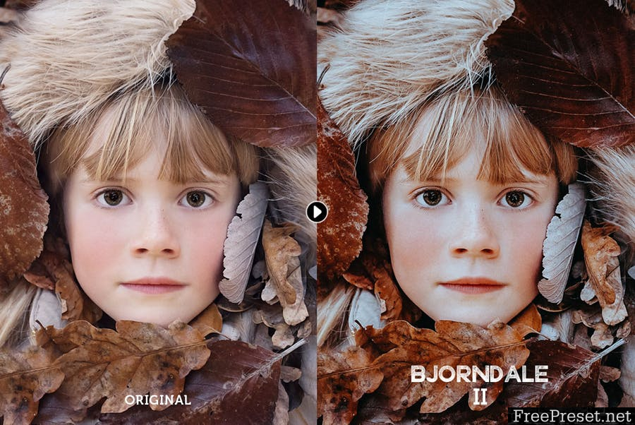 Bjorndale Rustic Lightroom Presets