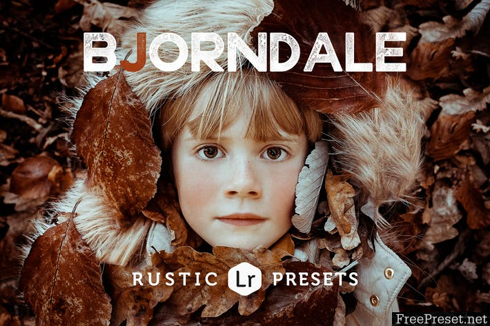 Bjorndale Rustic Lightroom Presets