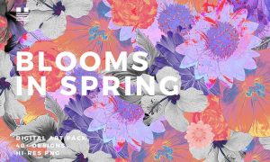 Blooms in Spring 6HHHGQ - PNG