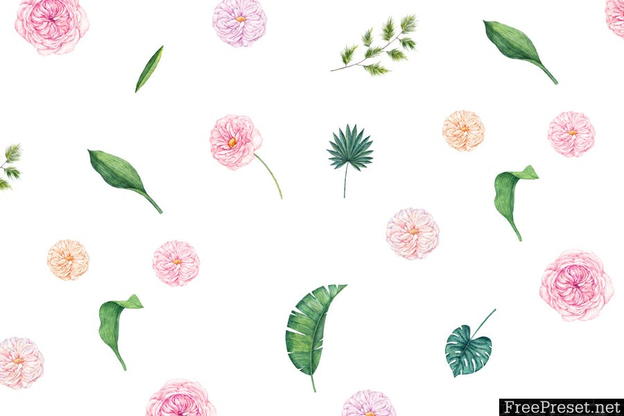 Blush & Ivory - Seamless Patterns