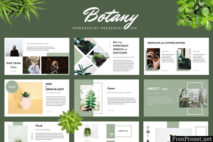 Botany Powerpoint Presentation CR6G4Q - PPT, PPTX, PDF