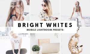 Bright White Lightroom Presets Theme 1591059