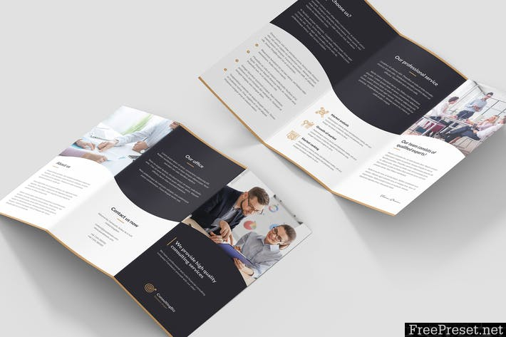 Brochure – Business Consulting Tri-Fold PFX63Q - PSD