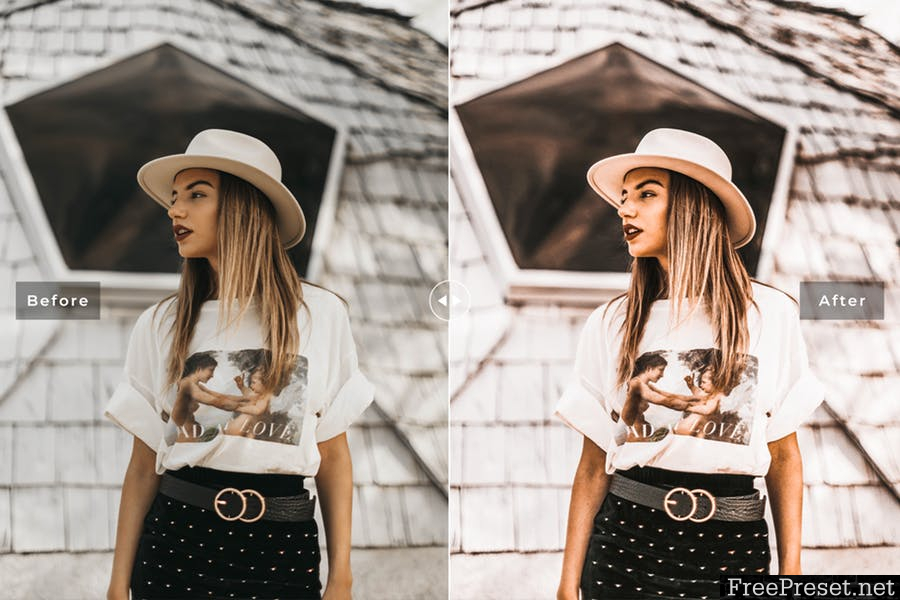 Dani Mobile & Desktop Lightroom Presets