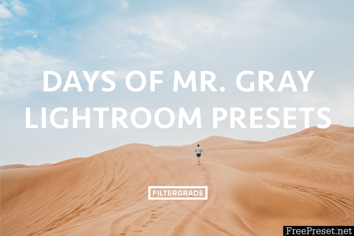 Days of Mr. Gray Lightroom Presets
