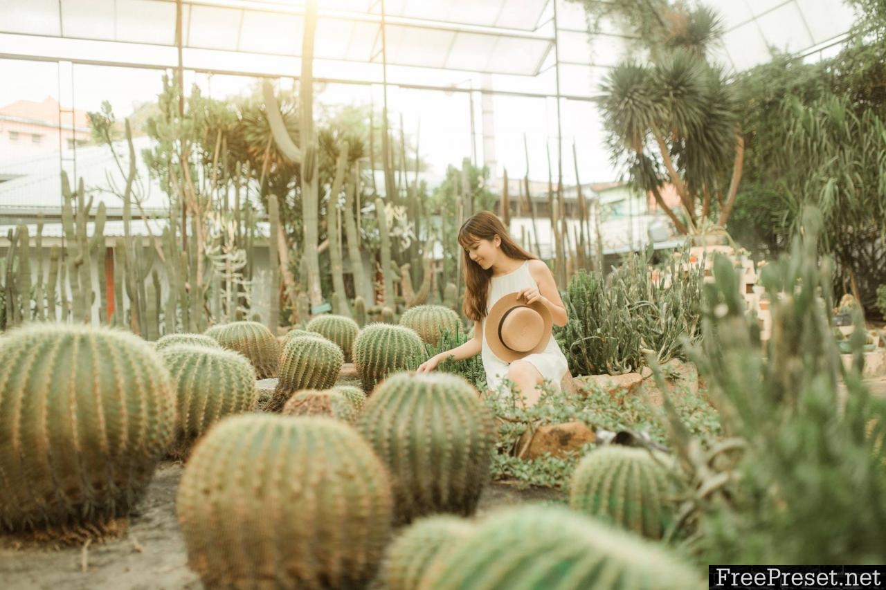 Denis’s Collection 4 – Girl and cactus lightroom preset