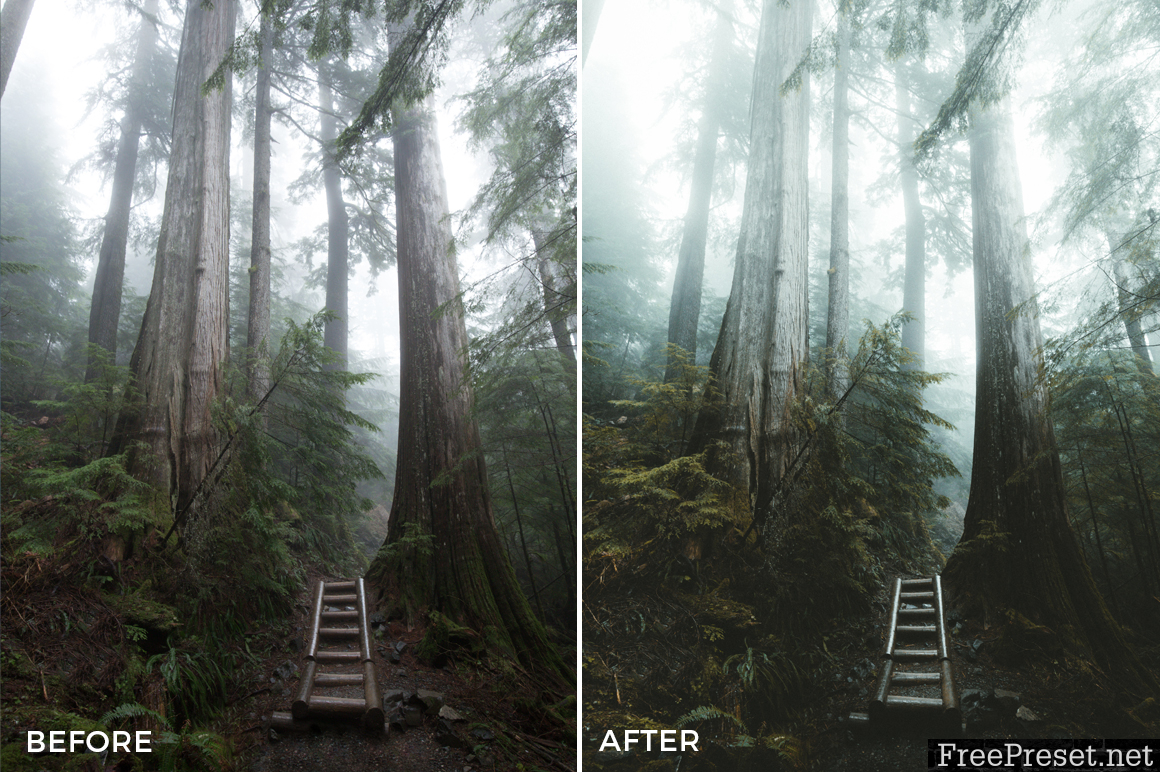 Dylan Kato II Lightroom Presets