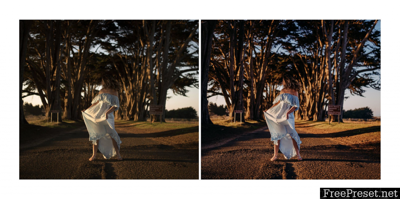 Golden Hour Presets (by Trish Benevides)