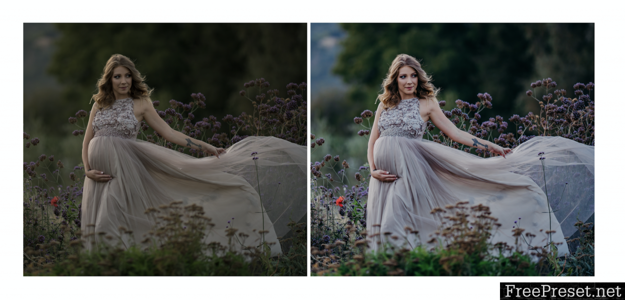 Golden Hour Presets (by Trish Benevides)