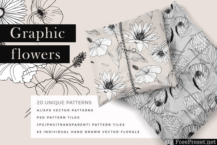 Graphic Flowers Patterns & Elements JKA3W8 - AI, EPS, JPG, PSD, PNG