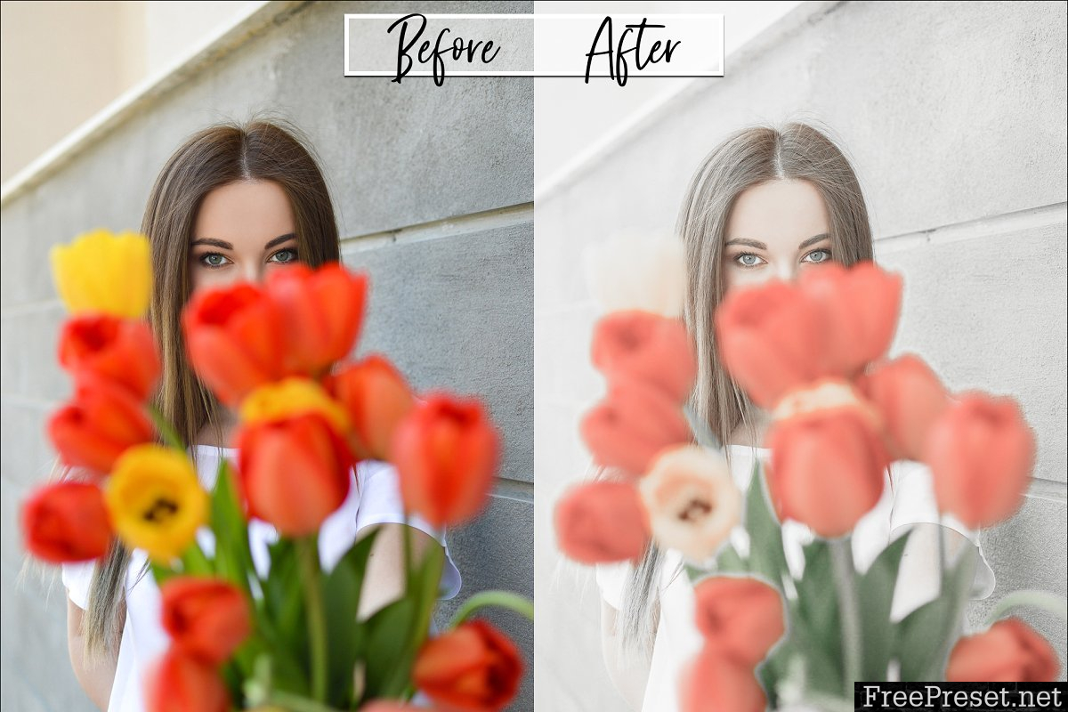 Influencer Lightroom Presets 3741522