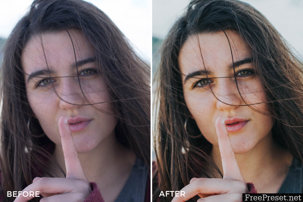 Joan Slye Lightroom Presets