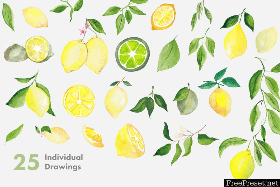 Lemons & Limes Watercolor Collection 6D68NC - PNG